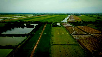 ที่ดิน องครักษ์ นครนายก : ขายที่ดิน คลอง 22 นครนายก ขายที่ดินเปล่าแบ่งขาย ล็อคละ 100-150 ตรว.