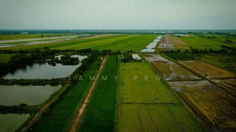 ขายที่ดิน คลอง 22 นครนายก ขายที่ดินเปล่าแบ่งขาย ล็อคละ 100-150 ตรว.