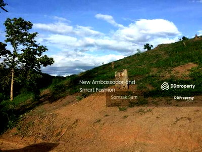 ขายที่ดิน : ขายที่ดิน ที่สวย  วิวภูเขา จ.แม่ฮ่องสอน