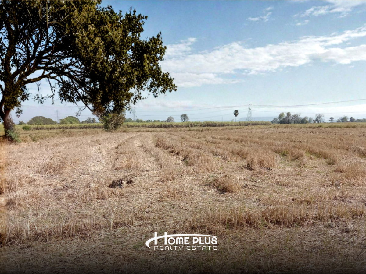 รูป ที่ดิน 20 ไร่ ตำบลวัดตายม อำเภอบางกระทุ่ม จังหวัดพิษณุโลก - รูปที่ 6/8