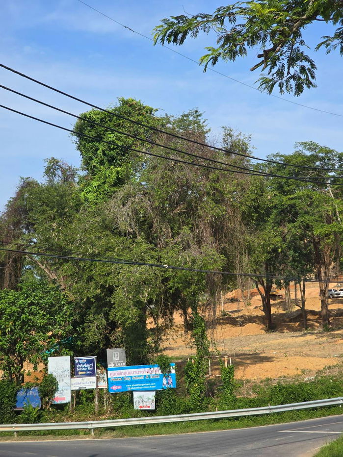 รูป ขายที่ดินทำเลศักยภาพสูง เกาะสิเหร่ จังหวัดภูเก็ต  ที่ตั้ง: เกาะสิเหร่ ตำบลรัษฎา อำเภอเมืองภูเก็ต จังหวัดภูเก็ต ขนาดที่ดิน: 6 ไร่ 96.9 ตารางวา - รูปที่ 4/15