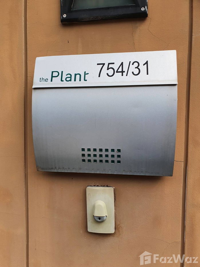 picture 𝐓𝐡𝐞 𝐏𝐥𝐚𝐧𝐭 𝐏𝐚𝐭𝐭𝐚𝐧𝐚𝐤𝐚𝐫𝐧 𝟑𝟖 1793736 - 5/48