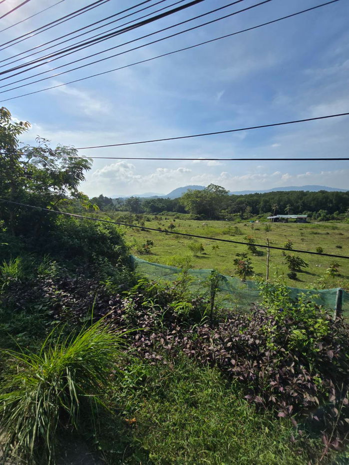 รูป ขายที่ดินทำเลศักยภาพสูง เกาะสิเหร่ จังหวัดภูเก็ต  ที่ตั้ง: เกาะสิเหร่ ตำบลรัษฎา อำเภอเมืองภูเก็ต จังหวัดภูเก็ต ขนาดที่ดิน: 6 ไร่ 96.9 ตารางวา - รูปที่ 11/15