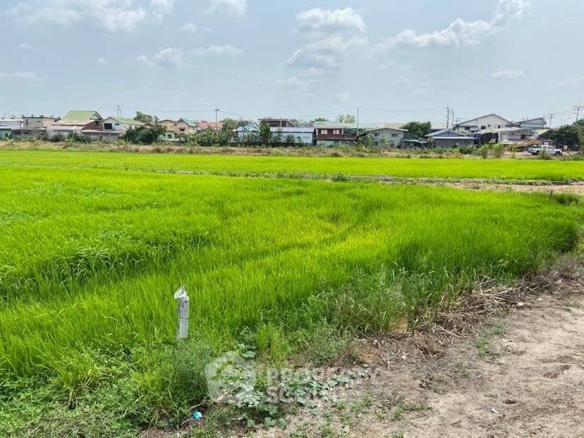 รูป ที่ดินสำหรับปล่อยขาย 9,591.2 ตารางเมตร แถว ใน สามวาตะวันออก (ID 2613894) - รูปที่ 2/3