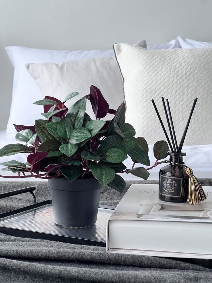 รูป Y192📌ให้เช่าคอนโด Monte RUS (มอนเต้ รังสิต แคมปัส)ห้องใหม่ พร้อมเข้าอยู่ ใกล้รถไฟฟ้า สายสีแดงเข้ม เฟอร์นิเจอร์และเครื่องใช้ไฟฟ้าครบ - รูปที่ 4/14