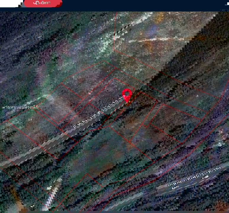 รูป ขายที่ดินทำเลศักยภาพสูง เกาะสิเหร่ จังหวัดภูเก็ต  ที่ตั้ง: เกาะสิเหร่ ตำบลรัษฎา อำเภอเมืองภูเก็ต จังหวัดภูเก็ต ขนาดที่ดิน: 6 ไร่ 96.9 ตารางวา - รูปที่ 2/15