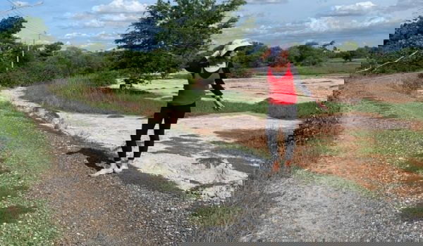 รูป ขายที่ดินเปล่า ต.สระจรเข้ อ.ด่านขุนทด จ.นครราชสีมา 24 ไร่ - รูปที่ 4/4