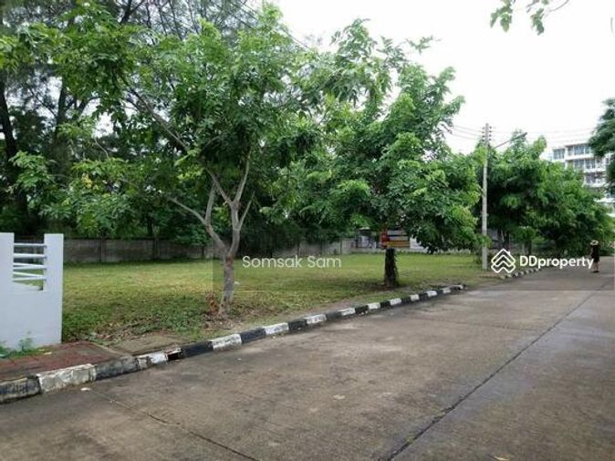 ขายที่ดินเปล่า  ถนนเพชรเกษม ชะอำ จ.เพชรบุรี