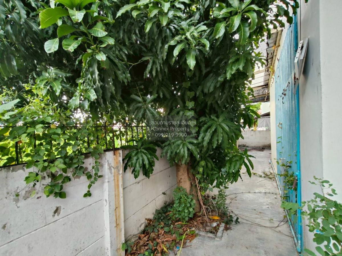 รูป ขายบ้าน ออร์คิด วิลล่า บางนา-ตราด กม.24 บางเสาธง บางเสาธง สมุทรปราการ CX-124623 ✅ ทักไลน์ @connexproperty ตอบทันที ทีมงานมืออาชีพ ✅ - รูปที่ 7/12