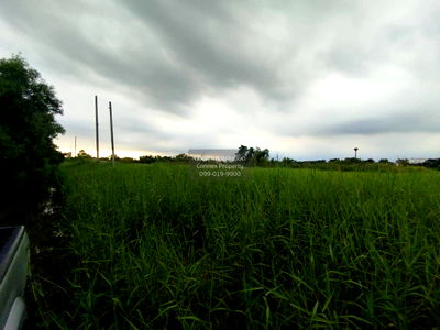 ที่ดิน เขตหนองจอก : ขายที่ดินเปล่า  ฉลองกรุง ริเวอร์วิลล์ รีสอร์ท ลำผักชี เขต หนองจอก กรุงเทพ CX-122726 ✅ ทักไลน์ @connexproperty ตอบทันที ทีมงานมืออาชีพ ✅