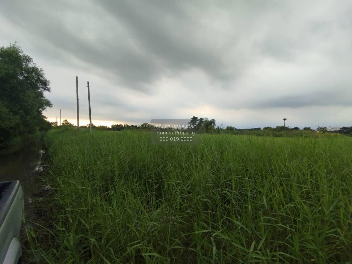 รูป ขายที่ดินเปล่า  ฉลองกรุง ริเวอร์วิลล์ รีสอร์ท ลำผักชี เขต หนองจอก กรุงเทพ CX-122726 ✅ ทักไลน์ @connexproperty ตอบทันที ทีมงานมืออาชีพ ✅ - รูปที่ 1/4