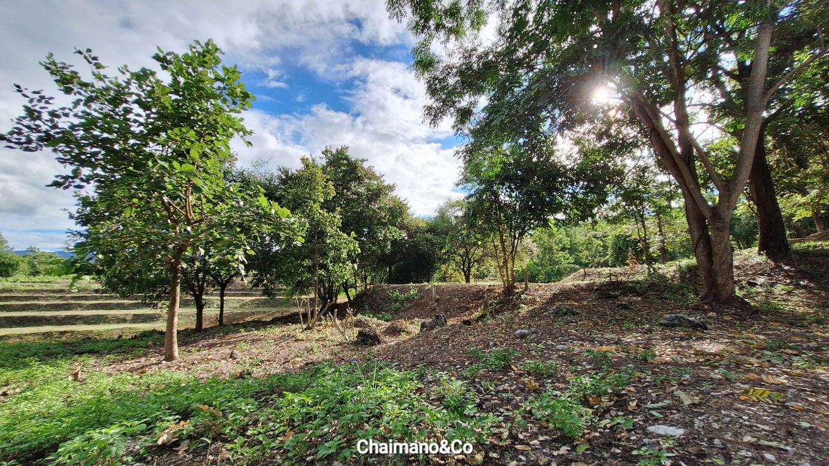 รูป ✨️⛰️ขายที่ดินสวนป่าธรรมชาติ 41ไร่+ อ.จอมทอง จ.เชียงใหม่ วิวเขาบนเนินเขา 1 ม่อนดอย สำหรับต่อยอดคาร์บอนเครดิต สวนเกษตร รีสอร์ท สถานปฏิบัติธรรม - รูปที่ 11/25