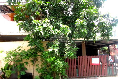 Houses for sale Khlong Luang Pathumthani : For Sale House , PRUKSA VILLAGE THE SEASON RANGSIT – KLONG 3 , Khlong Sam , khlong Luang , Pathum Thani , CX-106605 ✅ Live chat with us ADD LINE @connexproperty ✅