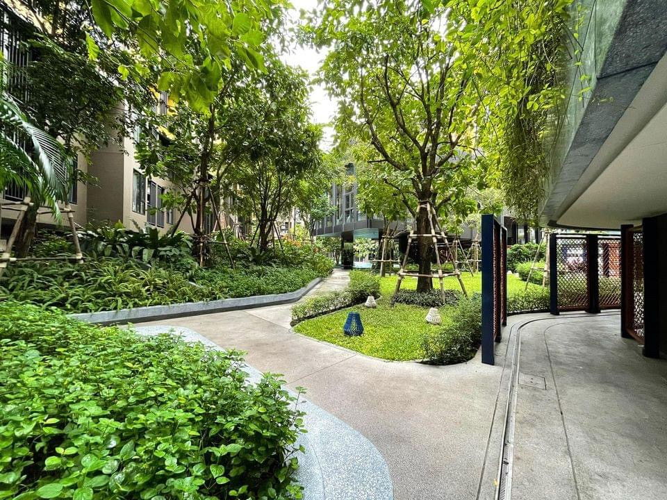 รูป ✨ ให้เช่า The Base Central Phuket | 1 ห้องนอน ชั้น 6 อาคาร C ใกล้เซ็นทรัล พร้อมเข้าอยู่ - รูปที่ 33/35