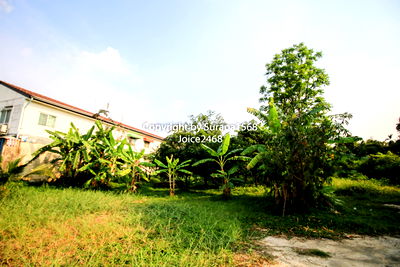 ที่ดิน เมืองนนทบุรี นนทบุรี : ขายที่ดินเปล่า นนทบุรี บางไผ่ ตลิ่งชัน บางพลัด สวนผัก พุทธมณฑลสาย1 ปิ่นเกล้า 198 ตร.ว ได้กรรมสิทธิ์ในชื่อร่วมถนนหน้าที่ดินด้วยด้วย