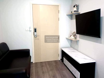 Condos for rent : For Rent Condo , Rich Park Triple Station , ARL-Hua Mak , Suan Luang , Suan Luang , Bangkok , CX-85303 ✅ Live chat with us ADD LINE @connexproperty ✅