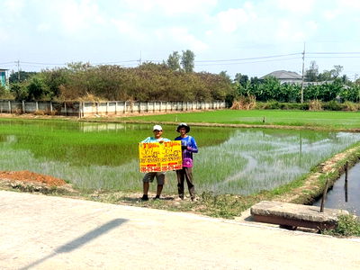 ที่ดิน พุทธมณฑล นครปฐม : ขายด่วนที่ดิน 367 ตรว ติดถนนคอนกรีตสาธารณะ (แบ่งได้)  ศาลายา อ.พุทธมณฑล จ.นครปฐม 