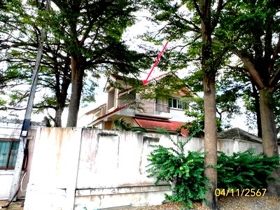 Houses for sale Lam Luk Ka : For Sale House , Taweelada 1 , Khu Khot , Lam Luk Ka , Pathum Thani , CX-111941 ✅ Live chat with us ADD LINE @connexproperty ✅