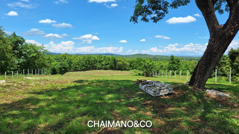 ✨️⛰️ขายที่ดินปลูกสวนป่า 41ไร่  ต.บ้านหลวง อ.จอมทอง จ.เชียงใหม่ วิวเขาบนเนินเขา 1 ม่อนดอย สำหรับต่อยอดคาร์บอนเครดิต สวนเกษตร รีสอร์ท สถานปฏิบัติธรรม