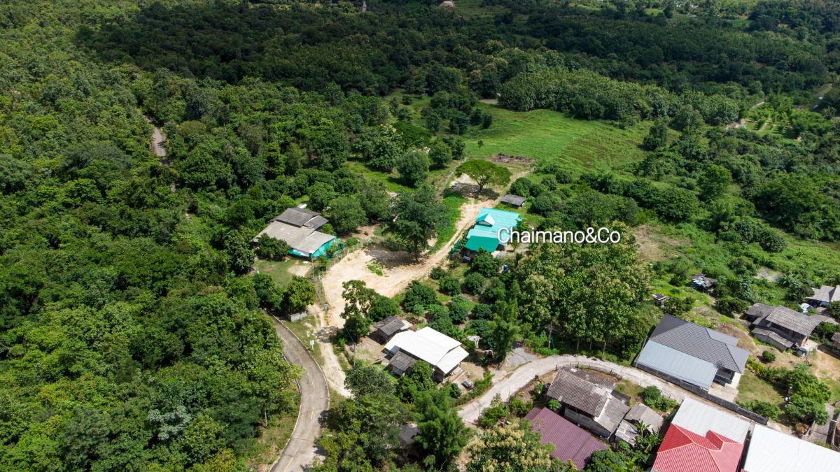 รูป ✨️⛰️ขายที่ดินสวนป่าธรรมชาติ 41ไร่+ อ.จอมทอง จ.เชียงใหม่ วิวเขาบนเนินเขา 1 ม่อนดอย สำหรับต่อยอดคาร์บอนเครดิต สวนเกษตร รีสอร์ท สถานปฏิบัติธรรม - รูปที่ 25/25