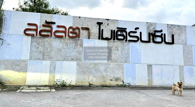 บ้านเดี่ยว เมืองระยอง ระยอง : ขายบ้าน  ลลัลตา โมเดิร์นซีน เนินพระ เมืองระยอง ระยอง CX-108203 ✅ ทักไลน์ @connexproperty ตอบทันที ทีมงานมืออาชีพ ✅