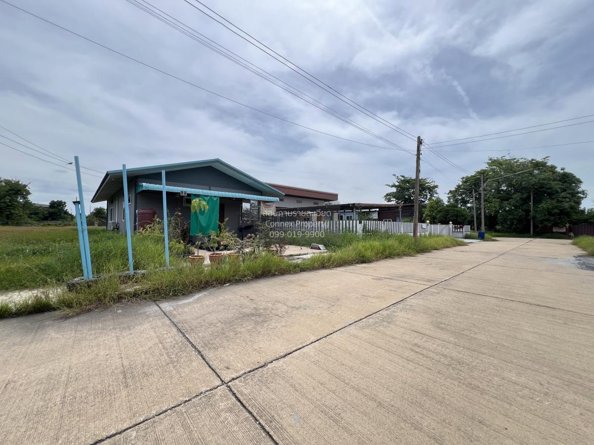 รูป ขายบ้าน เดอะ ลากูน 1-2 ท้ายเกาะ สามโคก ปทุมธานี CX-124513 ✅ ทักไลน์ @connexproperty ตอบทันที ทีมงานมืออาชีพ ✅ - รูปที่ 2/12