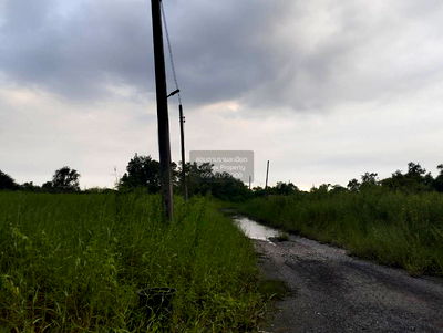 ที่ดิน เขตหนองจอก : ขายที่ดินเปล่า  ฉลองกรุง ริเวอร์วิลล์ รีสอร์ท ลำผักชี เขต หนองจอก กรุงเทพ CX-122728 ✅ ทักไลน์ @connexproperty ตอบทันที ทีมงานมืออาชีพ ✅