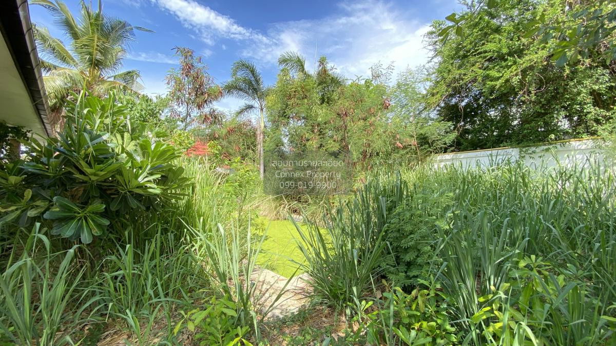 รูป ขายบ้าน  กอล์ฟวิลเลจ หนองแก หัวหิน ประจวบคีรีขันธ์ CX-98197 ✅ ทักไลน์ @connexproperty ตอบทันที ทีมงานมืออาชีพ ✅ - รูปที่ 7/12