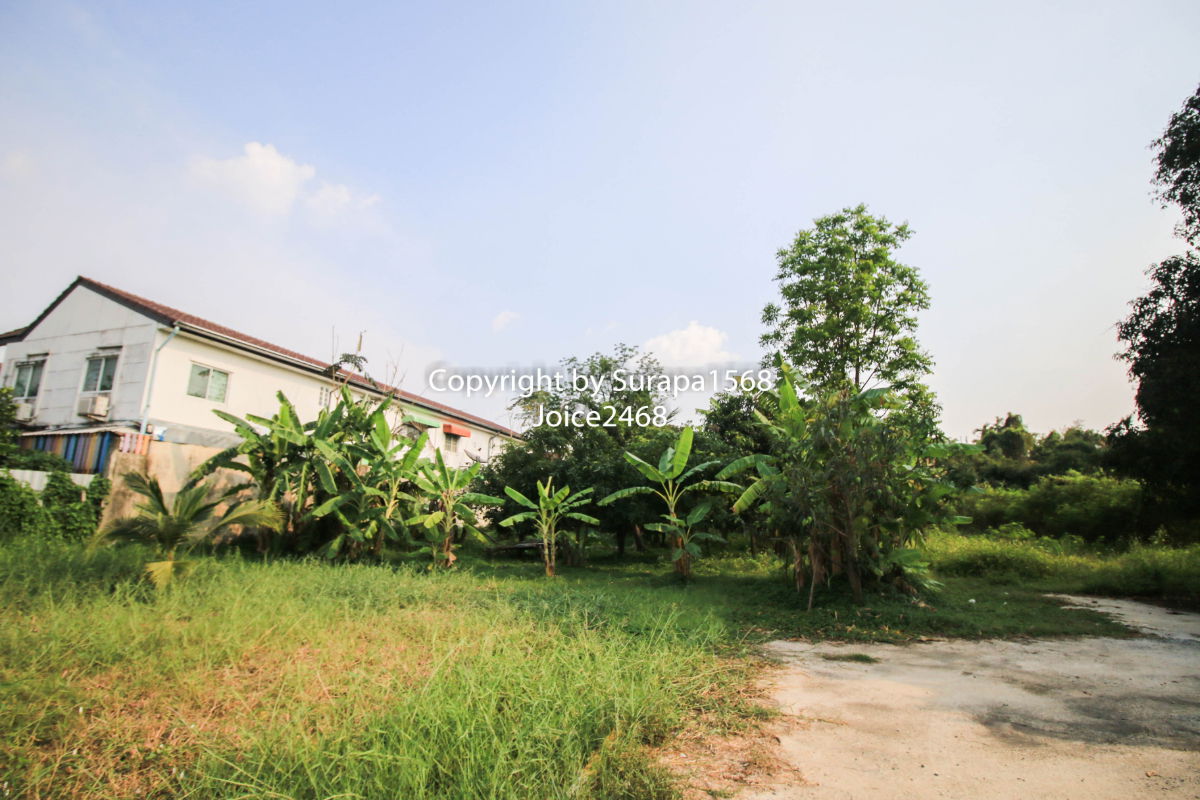 รูป ขายที่ดินเปล่า นนทบุรี บางไผ่ ตลิ่งชัน บางพลัด สวนผัก พุทธมณฑลสาย1 ปิ่นเกล้า 198 ตร.ว ได้กรรมสิทธิ์ในชื่อร่วมถนนหน้าที่ดินด้วยด้วย - รูปที่ 5/6