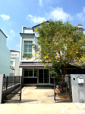 เช่าทาวน์โฮม กรุงเทพมหานคร : ทาวน์เฮ้าส์ให้เช่า 1 ห้องนอน ในโครงการ อินดี้ บางนา รามคำแหง 2 1826960