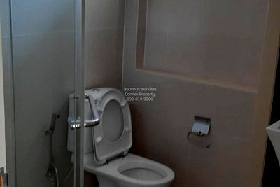 บ้านเดี่ยว เซ็นทรัล พระราม 2 : ขายบ้าน  เดอะ พาลาซโซ่ สาทร  บางขุนเทียน จอมทอง กรุงเทพ CX-106417 ✅ ทักไลน์ @connexproperty ตอบทันที ทีมงานมืออาชีพ ✅