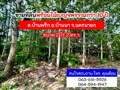 ที่ดิน บ้านนา นครนายก : 📢🚨ขายที่ดินพร้อมป่าเบญพรรณกว่า 10 ปี ทำเลดี ย่านชุมชน จ.นครนายก