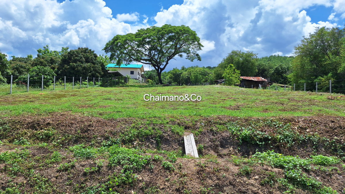 รูป ✨️⛰️ขายที่ดินสวนป่าธรรมชาติ 41ไร่+ อ.จอมทอง จ.เชียงใหม่ วิวเขาบนเนินเขา 1 ม่อนดอย สำหรับต่อยอดคาร์บอนเครดิต สวนเกษตร รีสอร์ท สถานปฏิบัติธรรม - รูปที่ 2/25