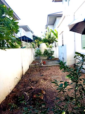 Houses for sale Lotus's Latkrabang : For Sale House , Baan Pruklada Suvarnabhumi , Sisa Chorakhe Noi , Bang Sao Thong , Samut Prakarn , CX-98087 ✅ Live chat with us ADD LINE @connexproperty ✅