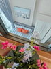 listing thumbnail image 4