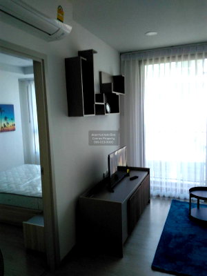 Condos for rent : 🔥🔥🔥 For Rent Condo , The Tree Sukhumvit 64 , BTS-Punnawithi , Phra Khanong , Phra Khanong , Bangkok , CX-100945 ✅ Live chat with us ADD LINE @connexproperty ✅ 🔥🔥🔥