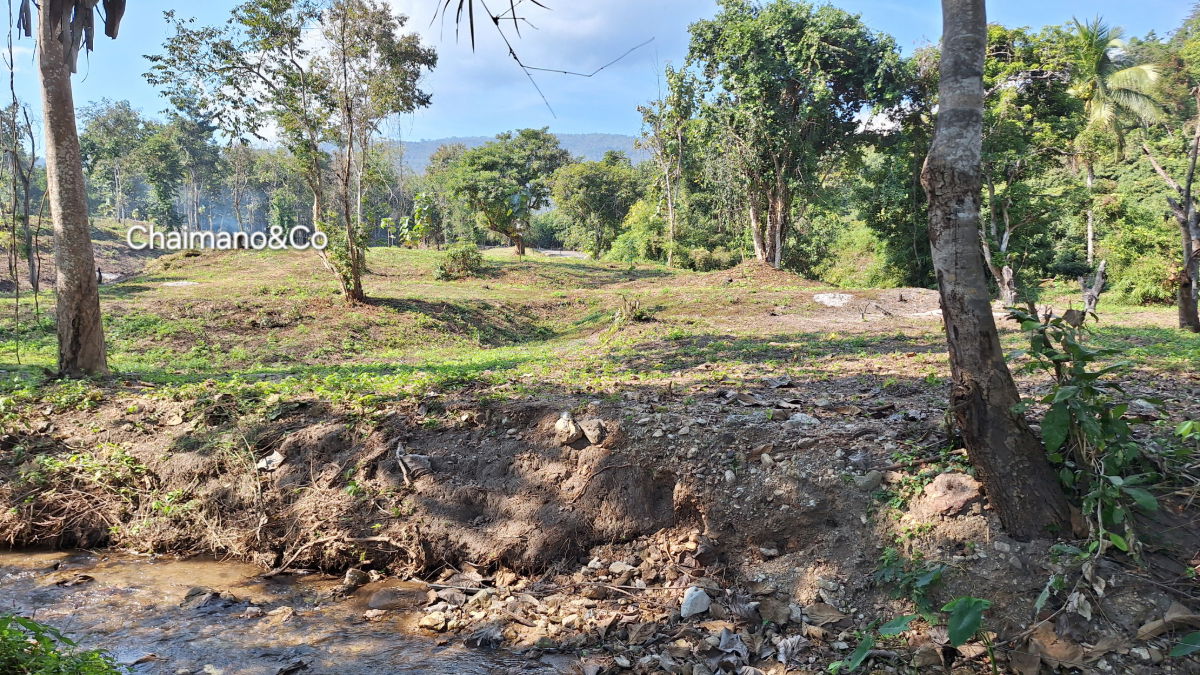 รูป ✨️⛰️ขายที่ดินสวนป่าธรรมชาติ 41ไร่+ อ.จอมทอง จ.เชียงใหม่ วิวเขาบนเนินเขา 1 ม่อนดอย สำหรับต่อยอดคาร์บอนเครดิต สวนเกษตร รีสอร์ท สถานปฏิบัติธรรม - รูปที่ 22/25