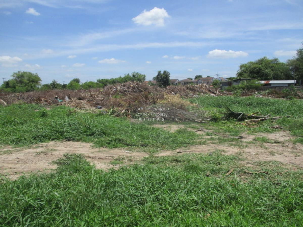 รูป ขายที่ดินเปล่า  ชวนชื่น การ์เด้นวิลล์ บางเดื่อ เมืองปทุมธานี ปทุมธานี CX-106646 ✅ ทักไลน์ @connexproperty ตอบทันที ทีมงานมืออาชีพ ✅ - รูปที่ 9/10