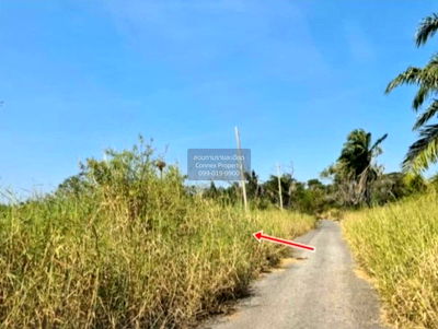 ที่ดิน เขตหนองจอก : ขายที่ดินเปล่า  ฉลองกรุง ริเวอร์วิลล์ รีสอร์ท ลำผักชี เขต หนองจอก กรุงเทพ CX-122721 ✅ ทักไลน์ @connexproperty ตอบทันที ทีมงานมืออาชีพ ✅