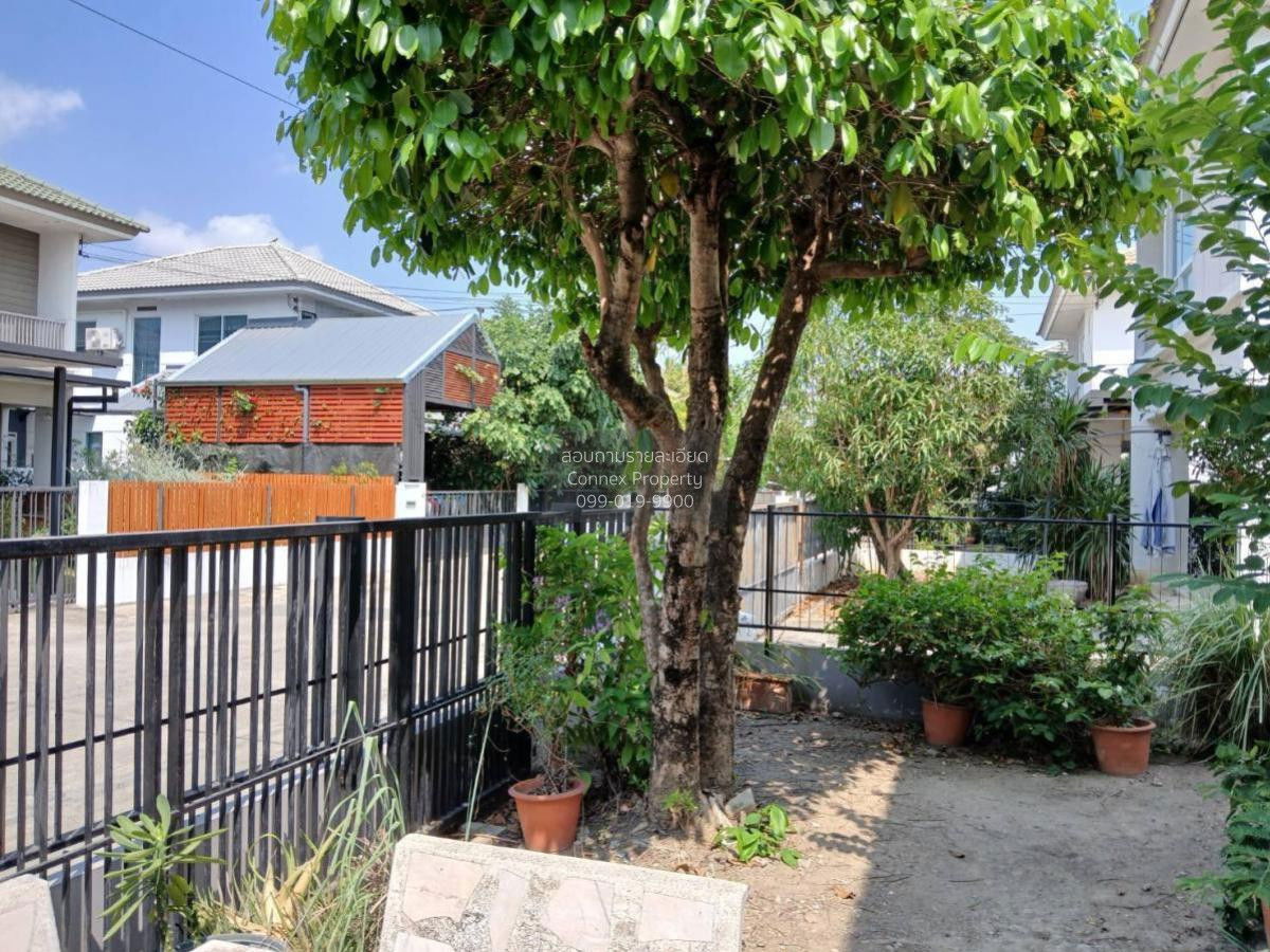 รูป ขายบ้าน พฤกษ์ลดา บางใหญ่ หน้ากว้าง บางแม่นาง บางใหญ่ นนทบุรี CX-101480 ✅ ทักไลน์ @connexproperty ตอบทันที ทีมงานมืออาชีพ ✅ - รูปที่ 11/12