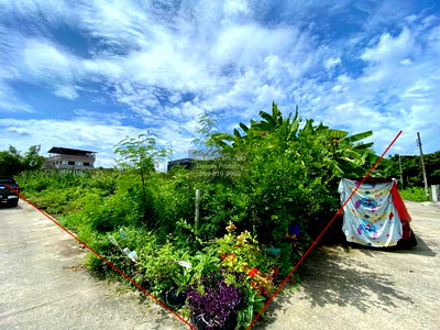 ที่ดิน บางบัวทอง นนทบุรี : ขายที่ดินเปล่า  หมู่บ้านธารทอง 2 บางรักพัฒนา บางบัวทอง นนทบุรี CX-88096 ✅ ทักไลน์ @connexproperty ตอบทันที ทีมงานมืออาชีพ ✅