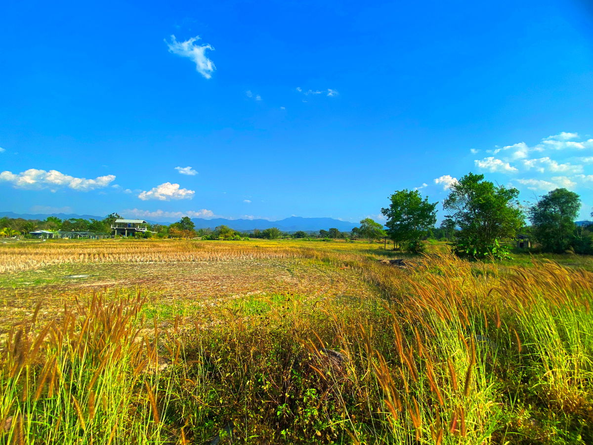 รูป 📣🏞 ขายที่ดินวิวดอยหลวงเชียงดาว 8 ไร่ 24 ตร.ว. (แม่นะ) พิกัด ต.แม่นะ อ.เชียงดาว จ.เชียงใหม่ 📌 - รูปที่ 11/31