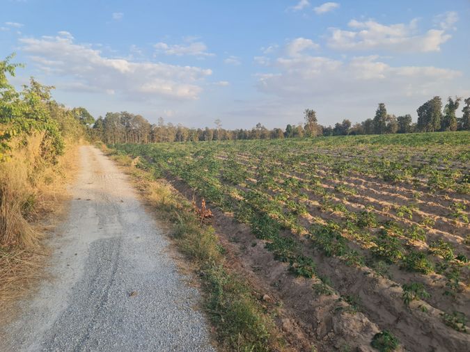 ขายด่วน ที่ดิน จ.ขอนแก่น ราคาถูก ไร่ละ 2.1 แสนบาท ขายยกแปลง 33 ไร่