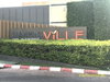 listing thumbnail image 12