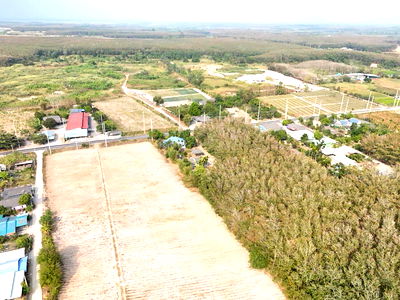 ที่ดิน ปลวกแดง ระยอง : ขายที่ดิน 52 ไร่ ติดถนนลาดยาง เหมาะทำโรงงาน หมู่บ้านจัดสรร อ.ปลวกแดง จ.ระยอง 