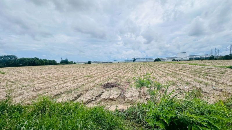 รูป ขายที่ดินสวย เขตมาบยางพร ปลวกแดง ระยอง - รูปที่ 3/8