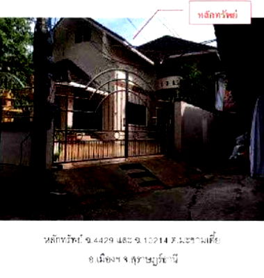 ที่ดิน วิทยาลัยสารพัดช่างสุราษฎร์ธานี : K02054 ขายที่ดินพร้อมสิ่งปลูกสร้าง 18/17 ตำบลมะขามเตี้ย อำเภอเมืองสุราษฎร์ธานี สุราษฎร์ธานี