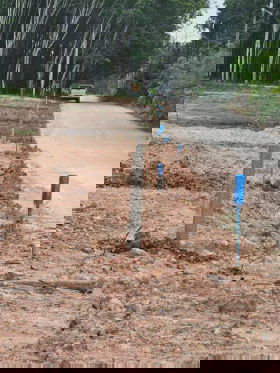 รูป ขายที่ดิน ติดถนนลาดยาง 500,000 โฉนด นส4จ วังจันทร์ จ.ระยอง (ปลูกบ้านได้ ทำห้องแถวได้) - รูปที่ 8/9