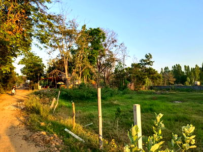 Land for sale Kantharawichai Maha Sarakham : Prime Land for Sale Near Mahasarakham University – Tha Khon Yang, Kantharawichai, Maha Sarakham