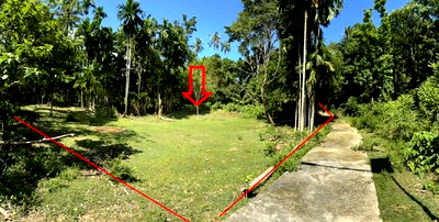 ขายที่ดิน : K00243 ขายที่ดินเปล่า เกาะโหลน ตำบลราไวย์ อำเภอเมืองภูเก็ต ภูเก็ต